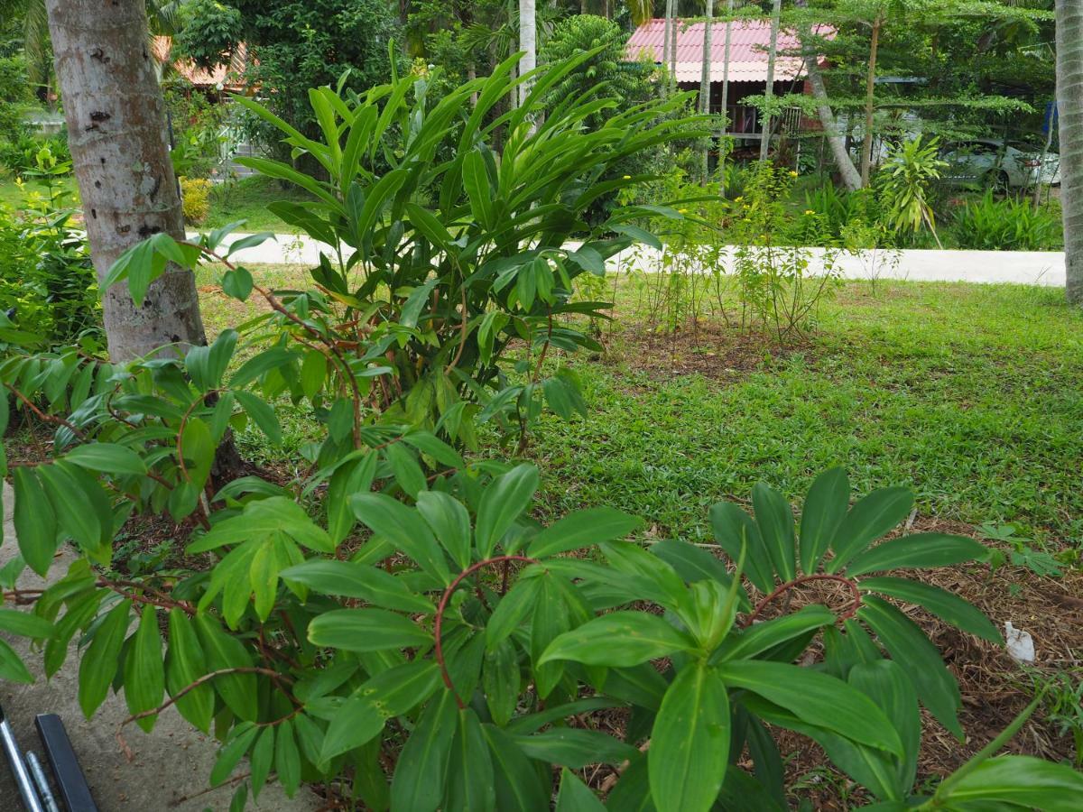 Pru Valley Thaley Tai Resort Dohn Bhlab المظهر الخارجي الصورة